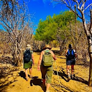 Baja Yoga Fusion Adventure for Women (March 8 - 14, 2027)